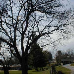 Meet your Posher, Sue